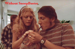 Stoneslide Gift Assist #6: SnoopBuster