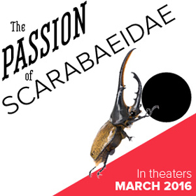 passionscarab