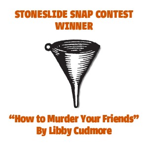 And the Winner of the Stoneslide Snap Contest Is…